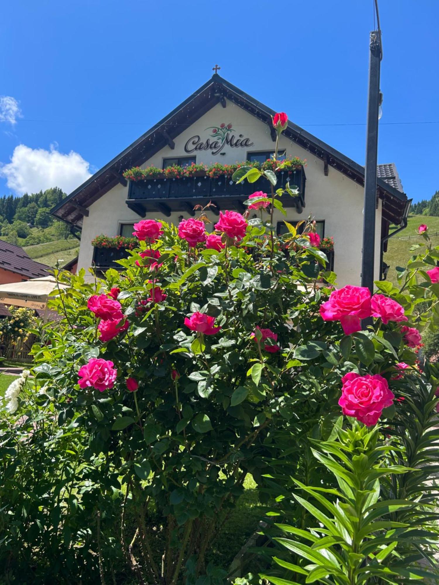 Casa Mia Hotel Moeciu De Sus Exterior photo